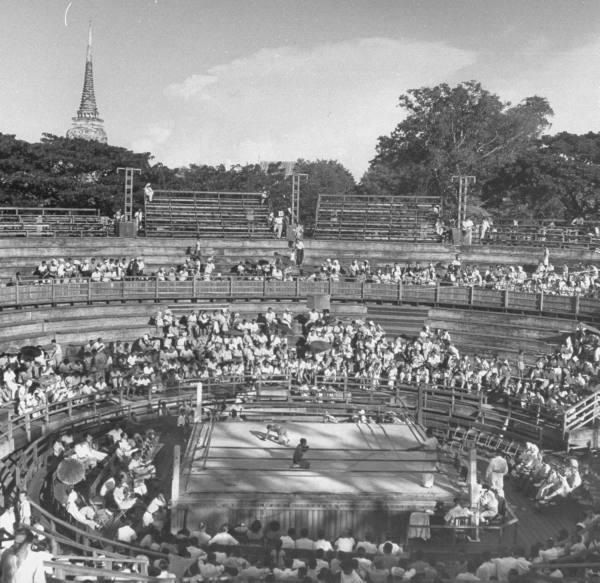 old Rajadamnern Muay Thai Stadium 