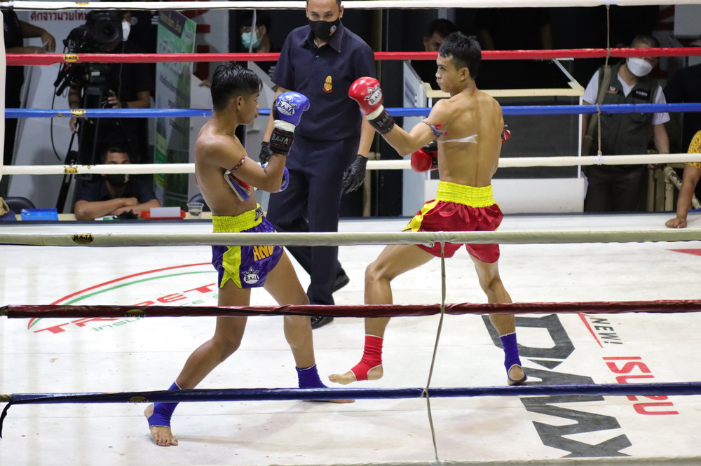 watch muay thai in bangkok with kids